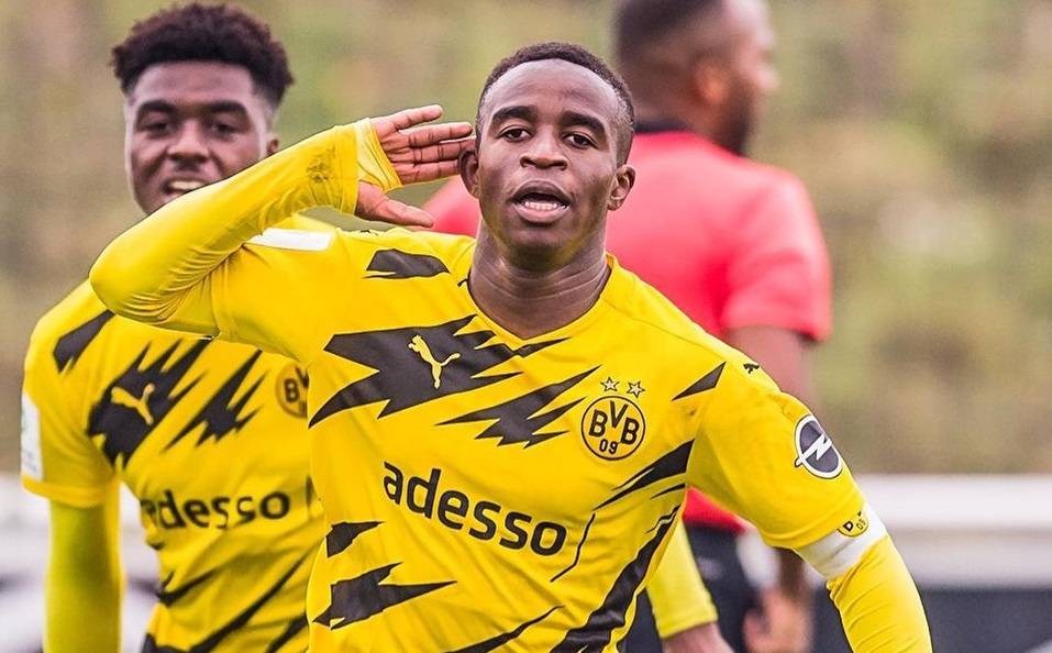 布鲁克林有棵树在线免费阅读